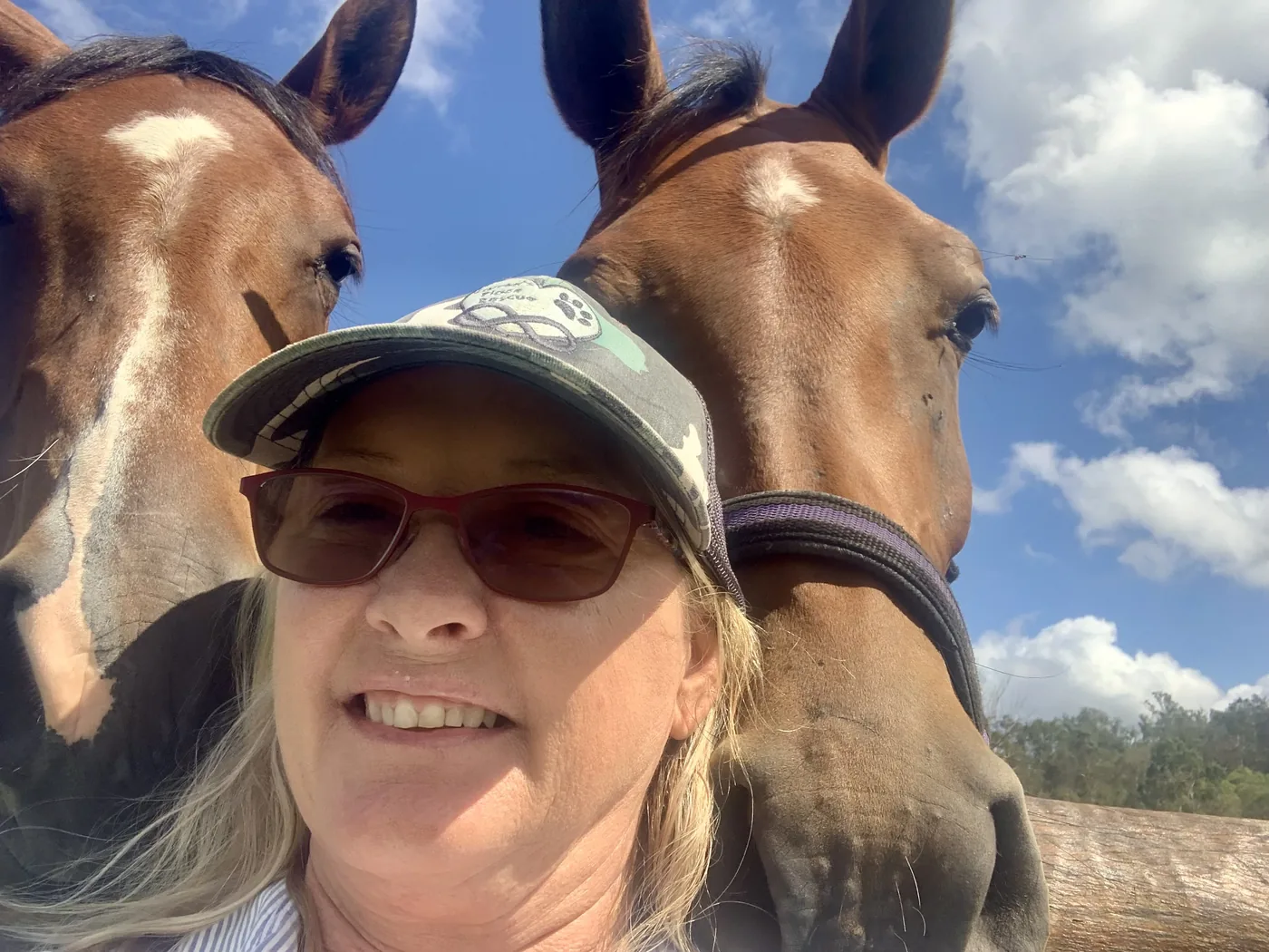 Lisa in the paddock between two horses