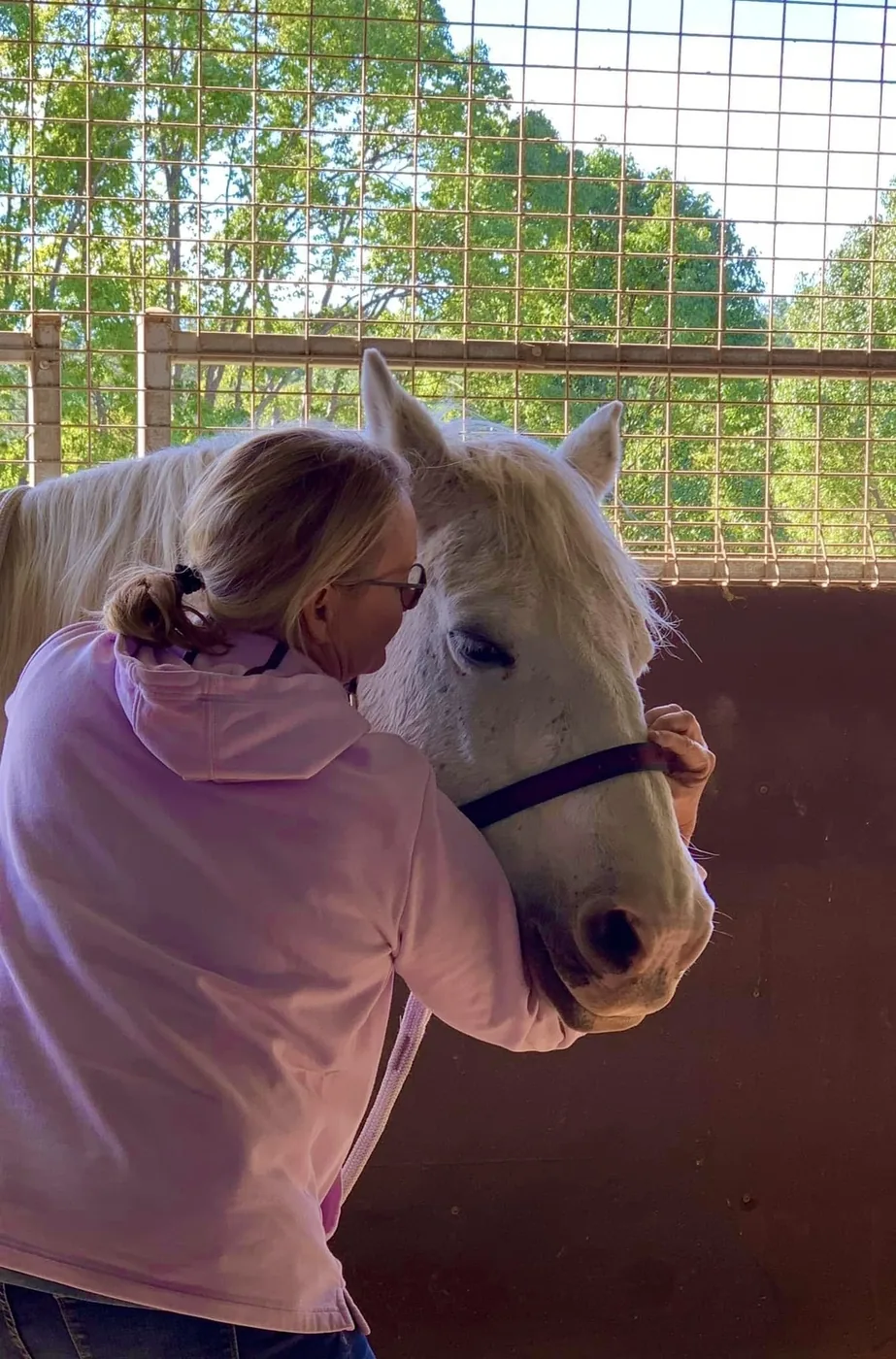 Lisa greeting a grey horse nose to nose